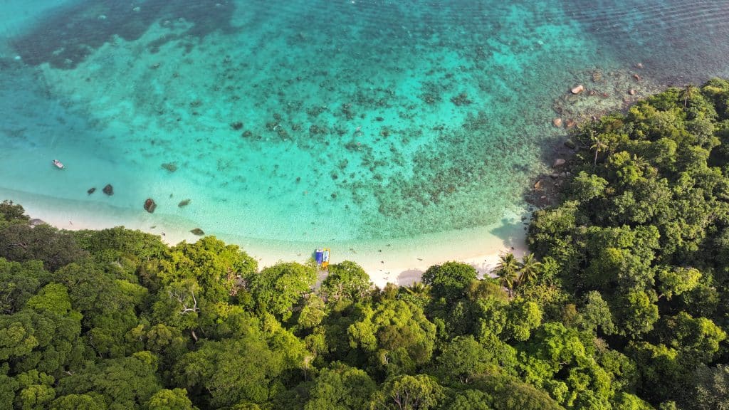 Turtle beach migliori spiagge isole perhentian